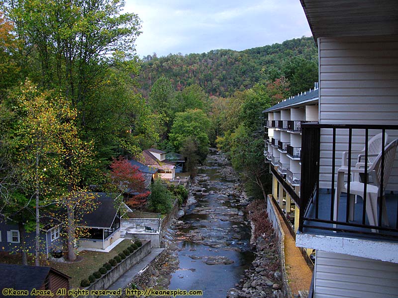 View from the rear balcony...