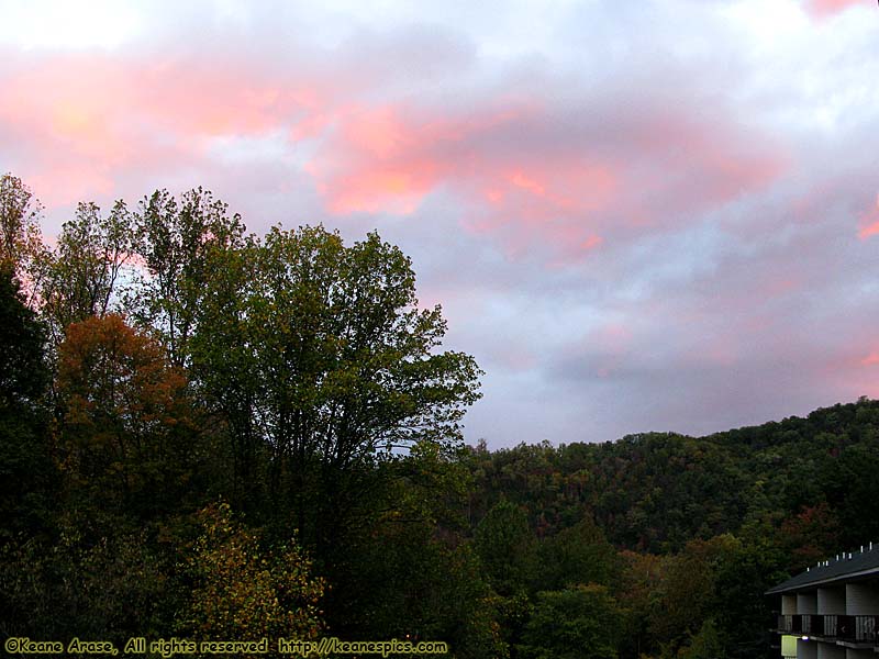 View from the rear balcony...