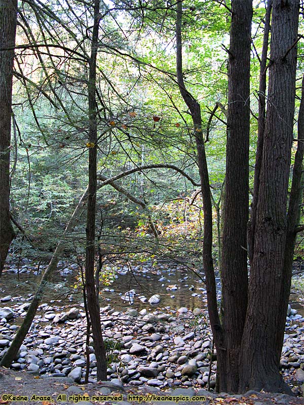 West Little Pigeon River