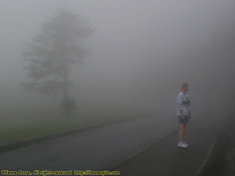 Clingmans Dome Parking Area