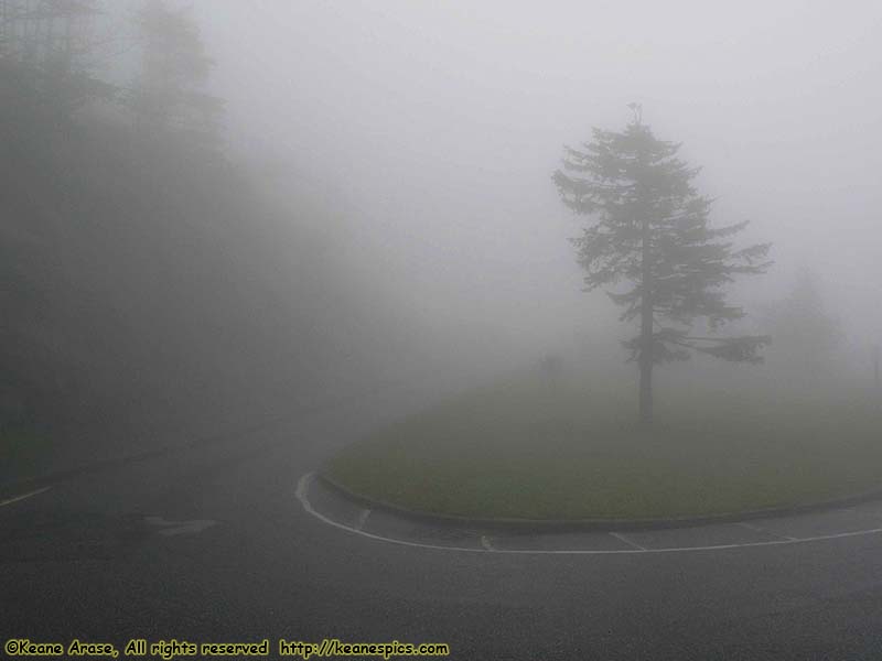 Clingmans Dome Parking Area