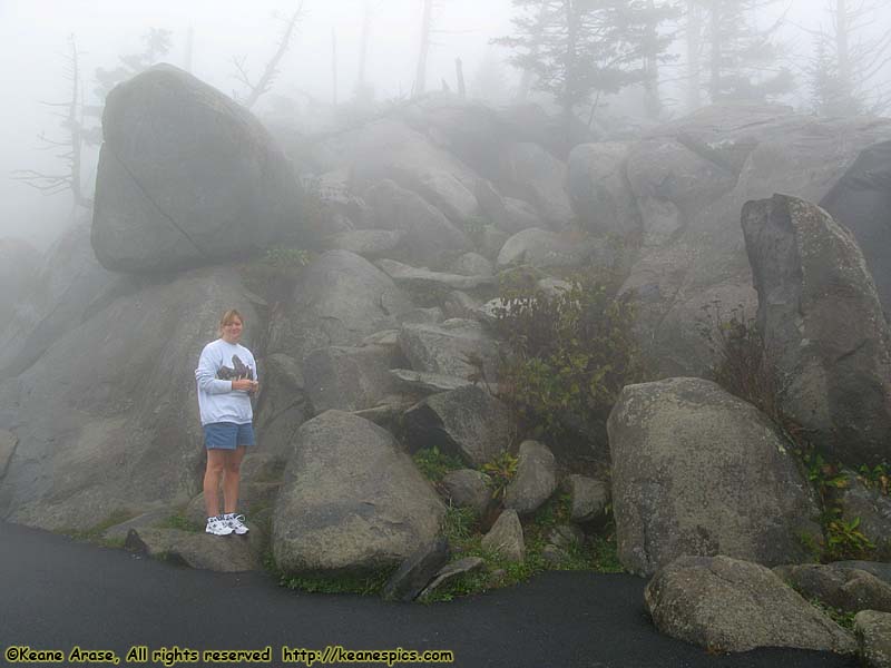 Clingmans Dome Parking Area