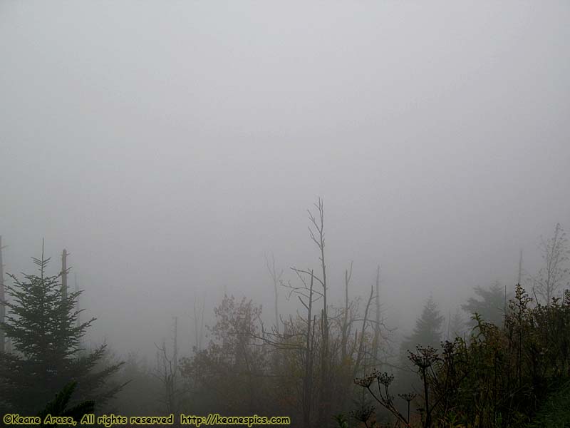 Clingmans Dome Parking Area