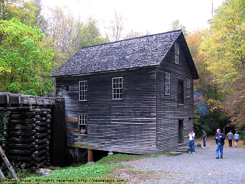 Mingus Mill