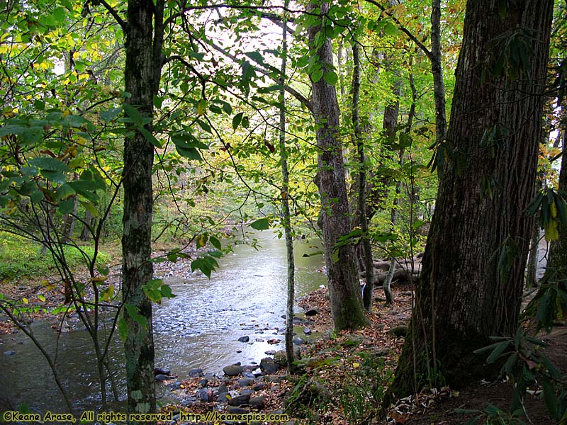 Oconaluftee River