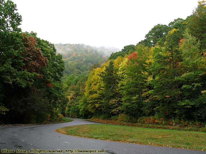 Along the parkway