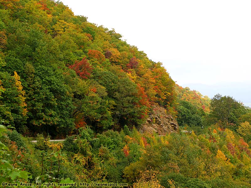 Along the parkway