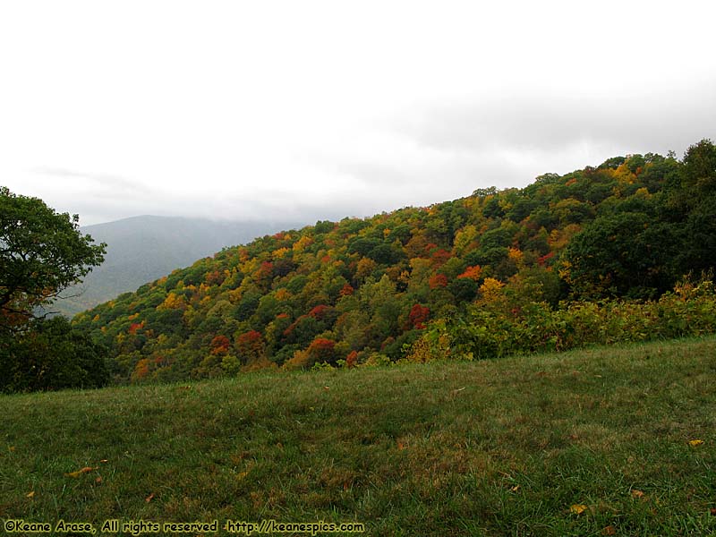 Along the parkway