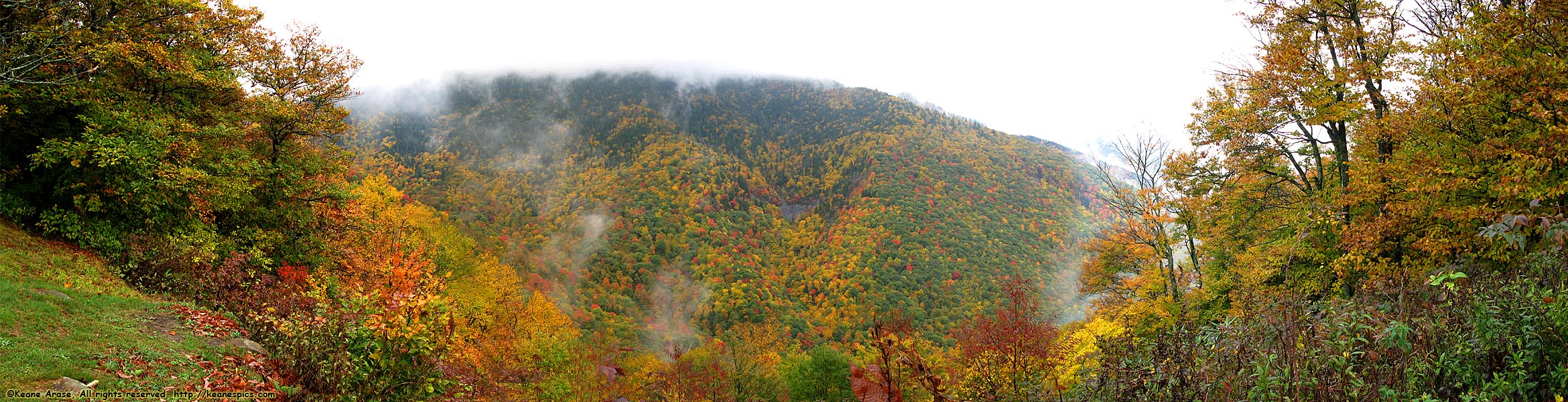 Along the Blue Ridge Parkway