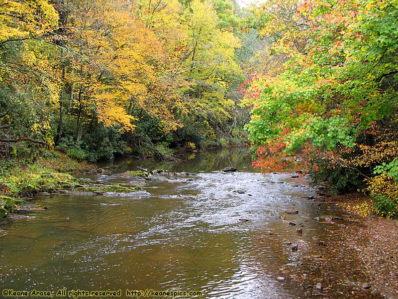 Crabtree Meadows area