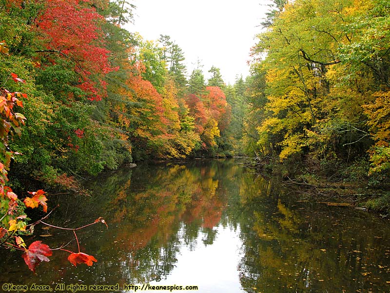 Crabtree Meadows area