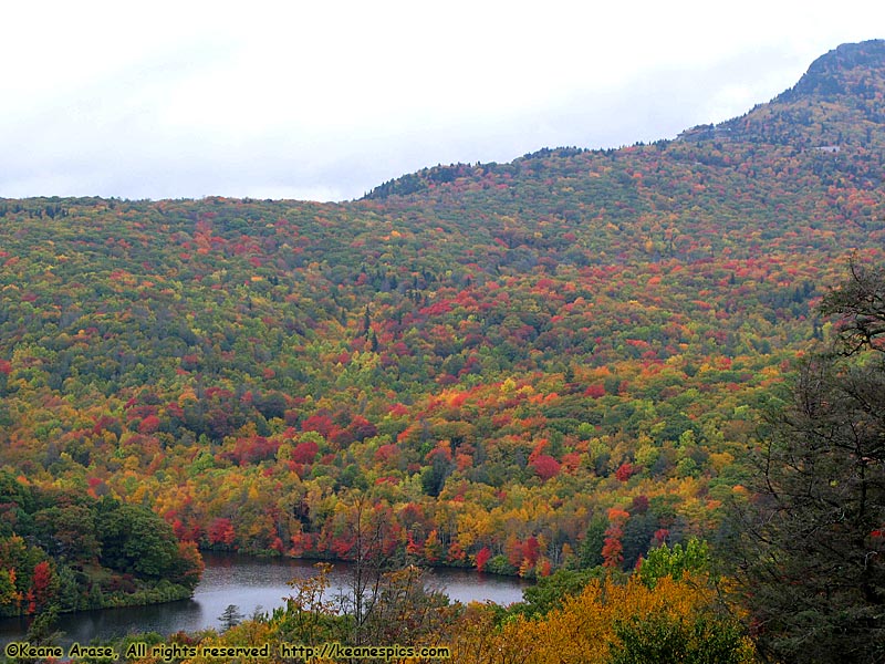 Grandfather Mountain