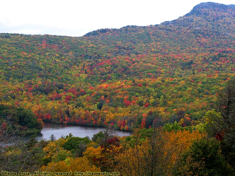 Grandfather Mountain