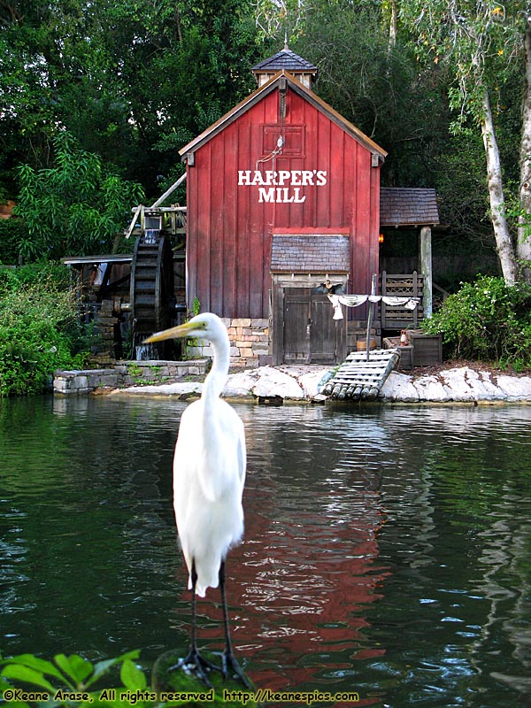 Frontierland