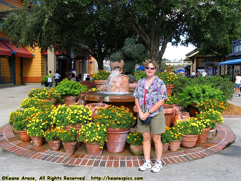 PiC & Entrance Fountain