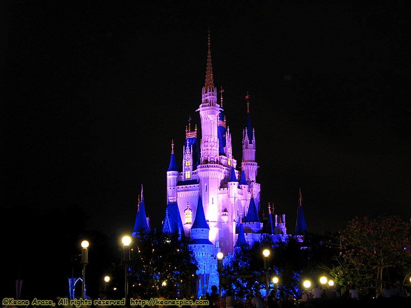 Cinderella Castle