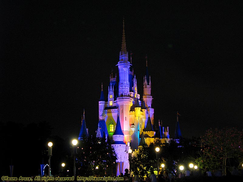 Cinderella Castle