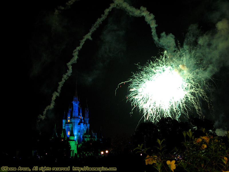 Wishes Nighttime Spectacular (Oct 2007)