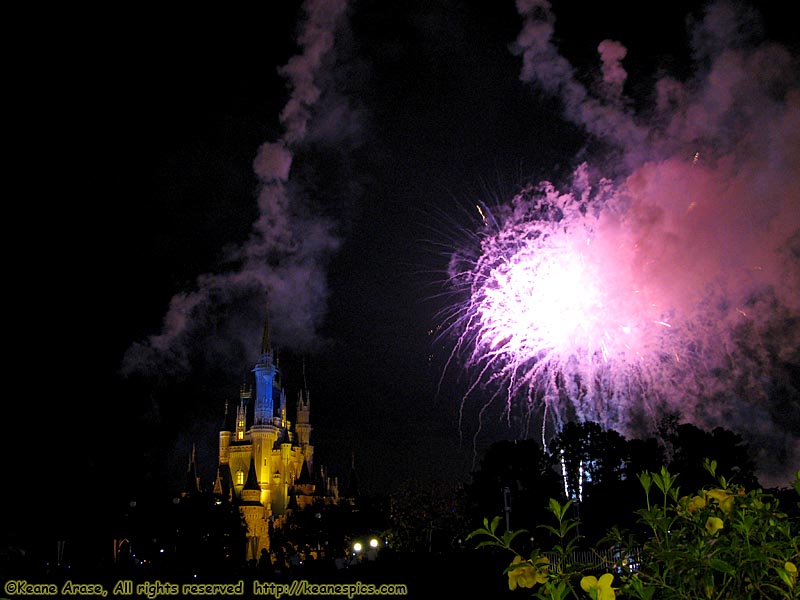 Wishes Nighttime Spectacular (Oct 2007)