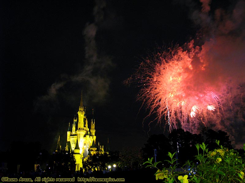 Wishes Nighttime Spectacular (Oct 2007)