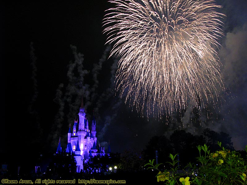 Wishes Nighttime Spectacular (Oct 2007)