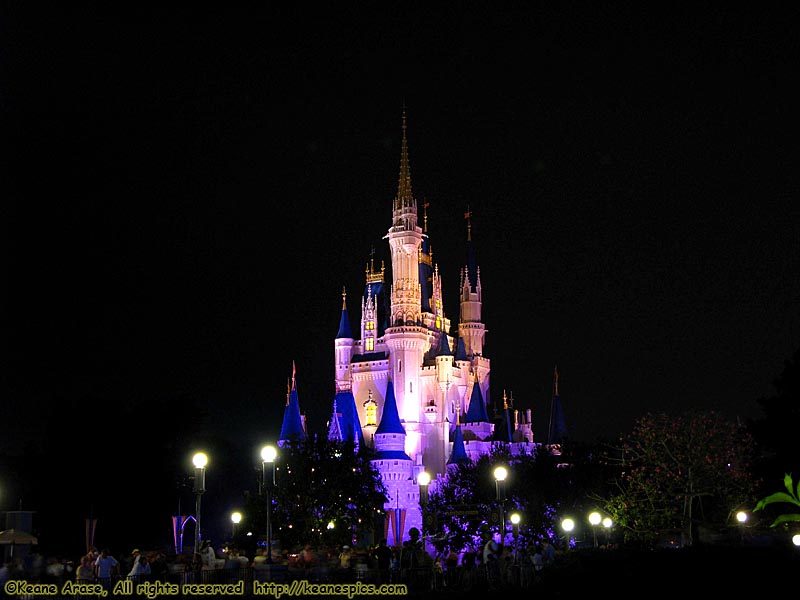 Cinderella Castle