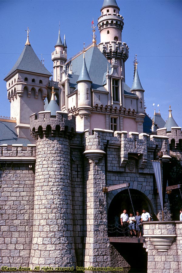 Sleeping Beauty's Castle