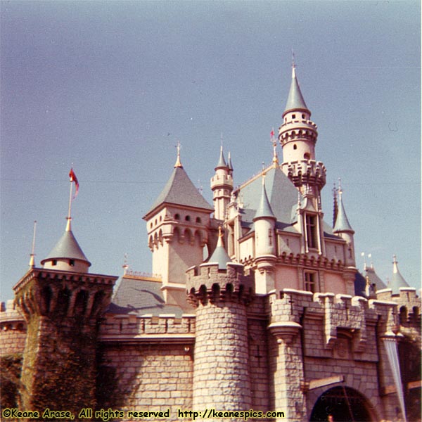 Sleeping Beauty's Castle