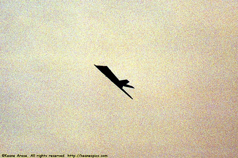 1992 Chicago Air and Water Show