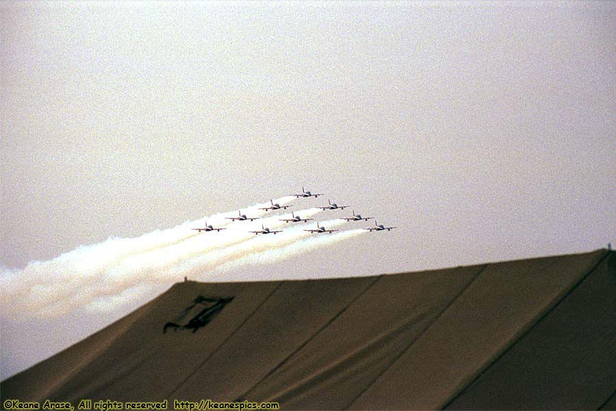 1992 Chicago Air and Water Show