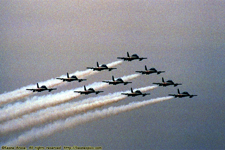 1992 Chicago Air and Water Show