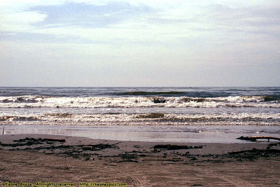 Gulf Of Mexico