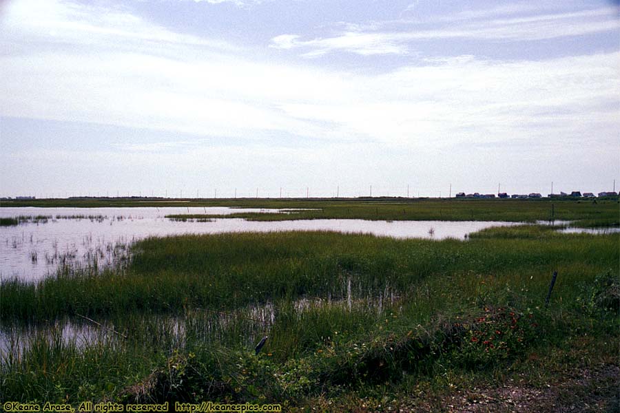 Intercoastal Waterway