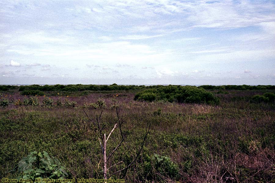 Intercoastal Waterway