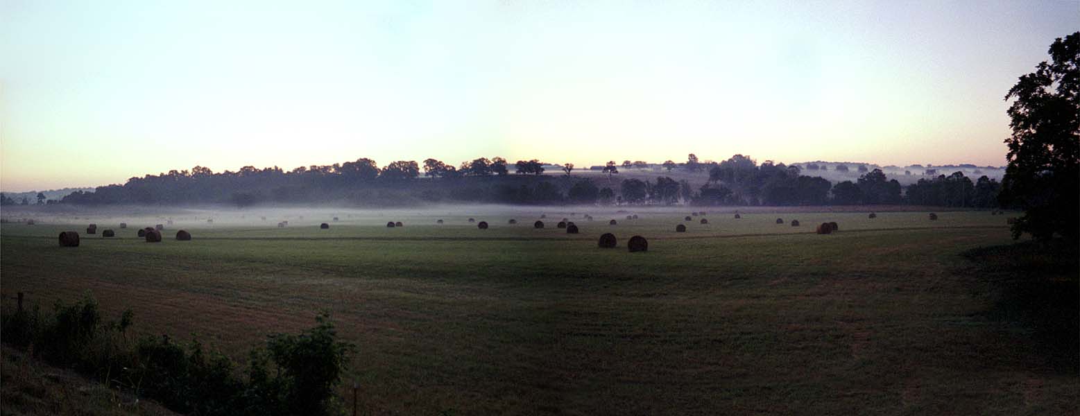 Morning Fog