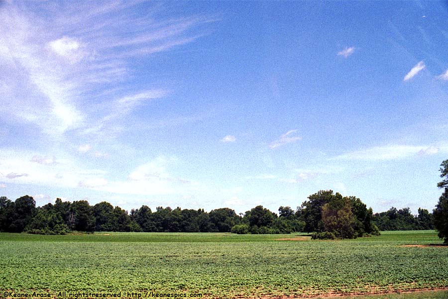 Natchez Trace Parkway