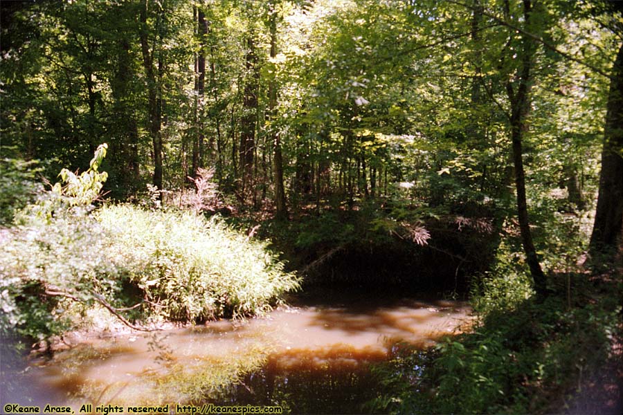 Myrick Creek