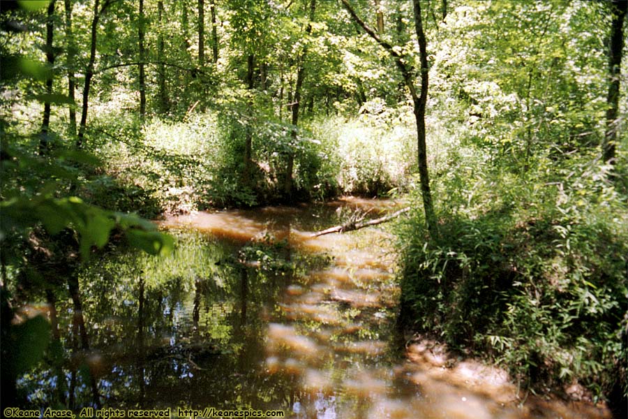 Myrick Creek