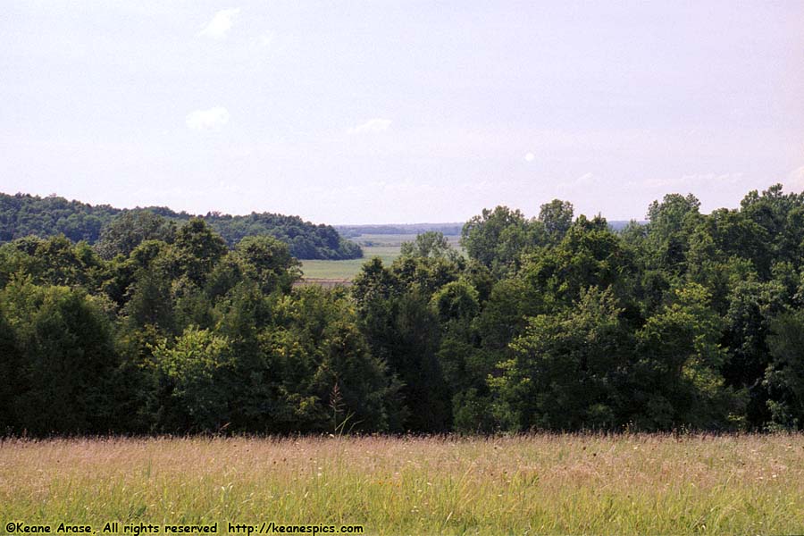 Black Belt Overlook