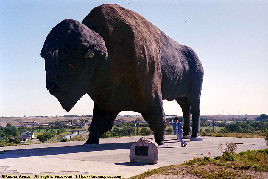 World's Largest Buffalo