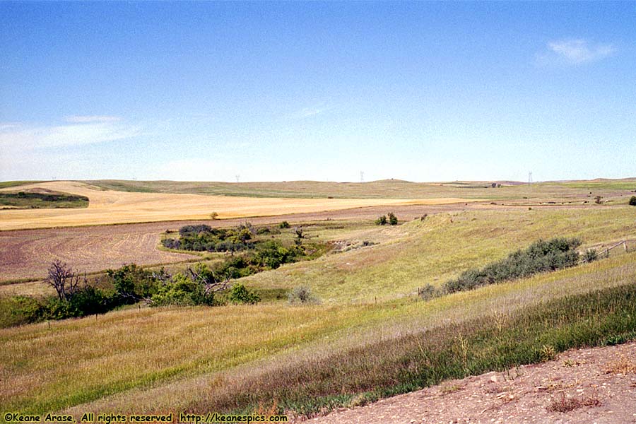 North Dakota Plains