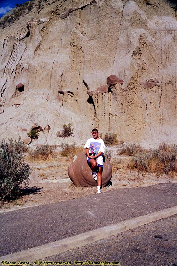 Cannon Ball Concretions