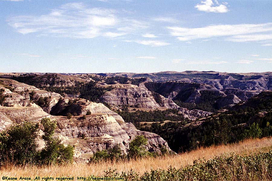 Oxbow Overlook