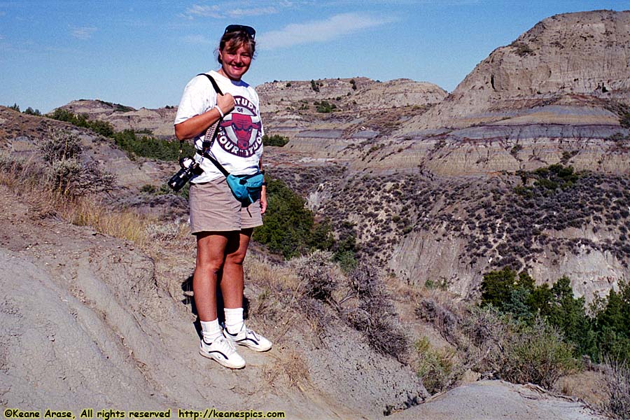 North Dakota Badlands Overlook