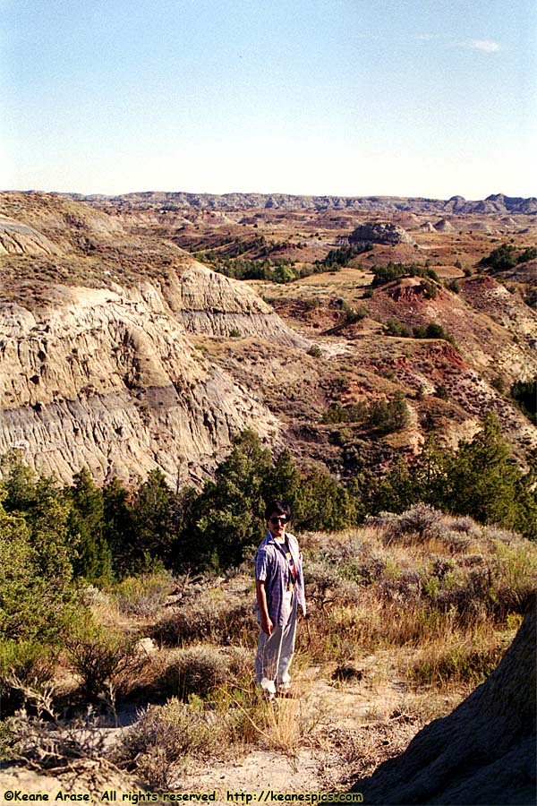 North Dakota Badlands Overlook