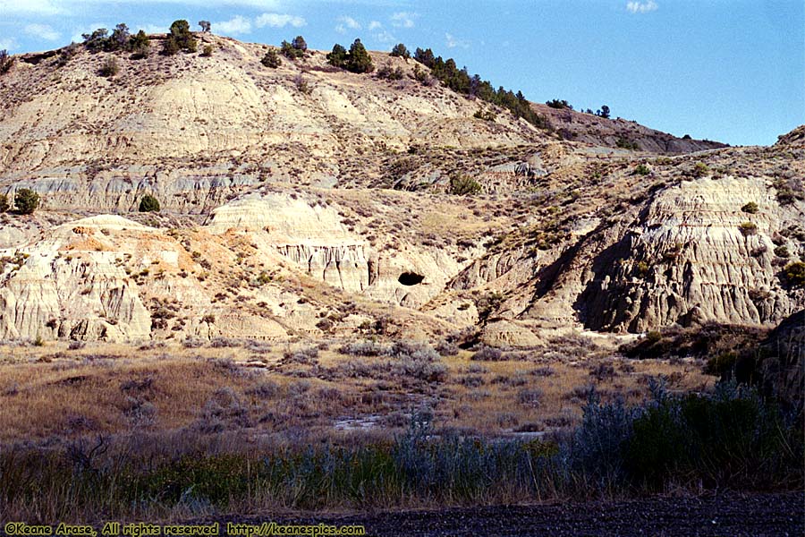 Along Scenic Loop Drive