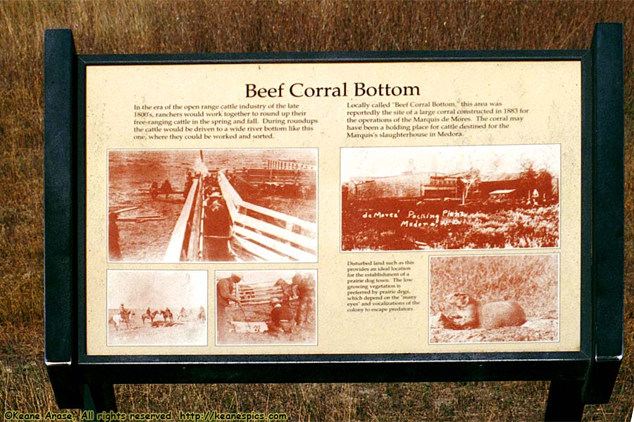 Beef Corral Bottom