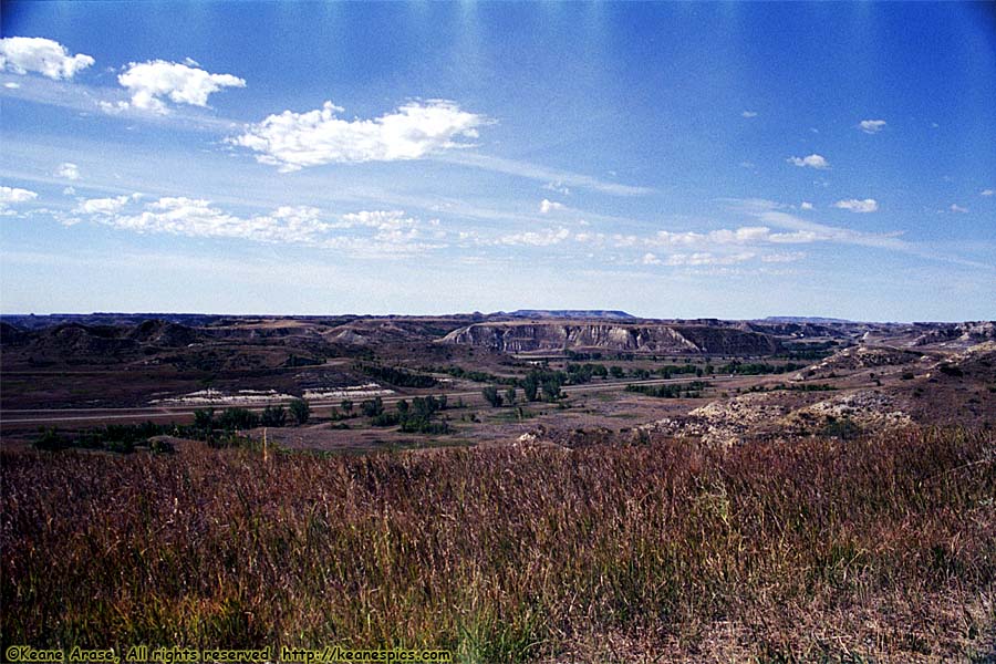 Skyline Vista