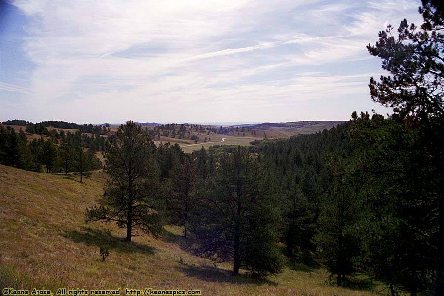 Wildlife Loop Road