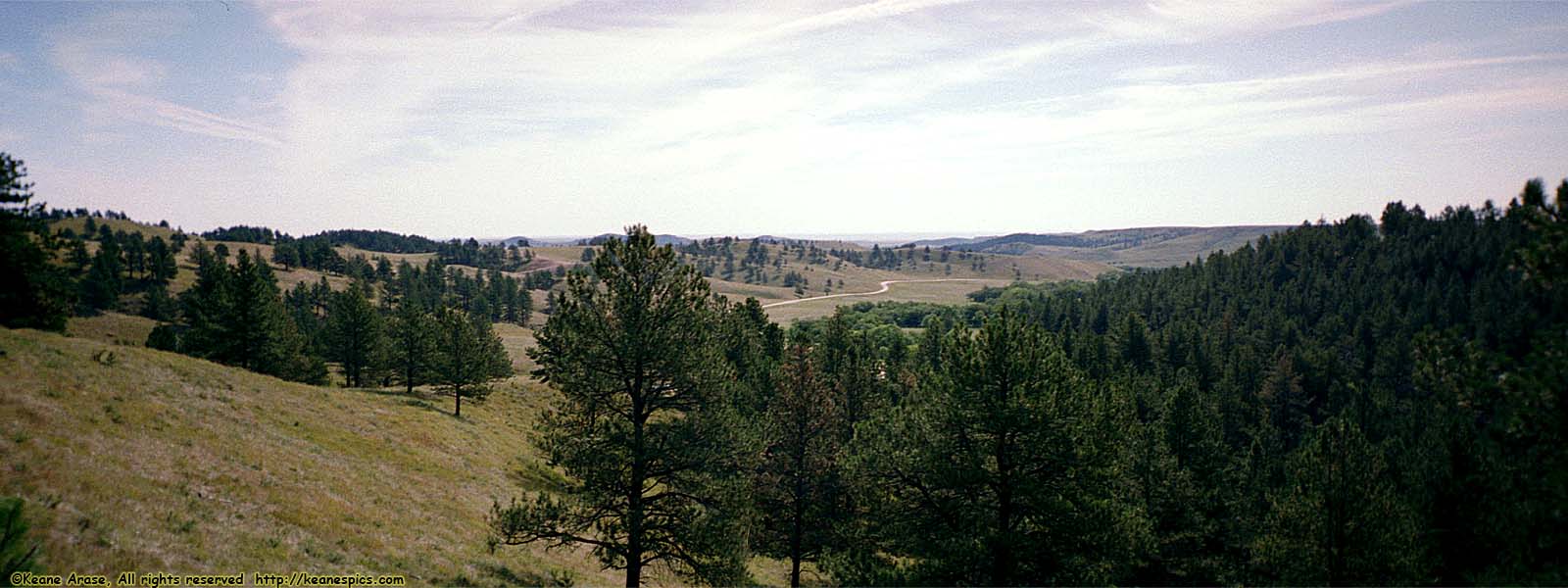 Wildlife Loop Road